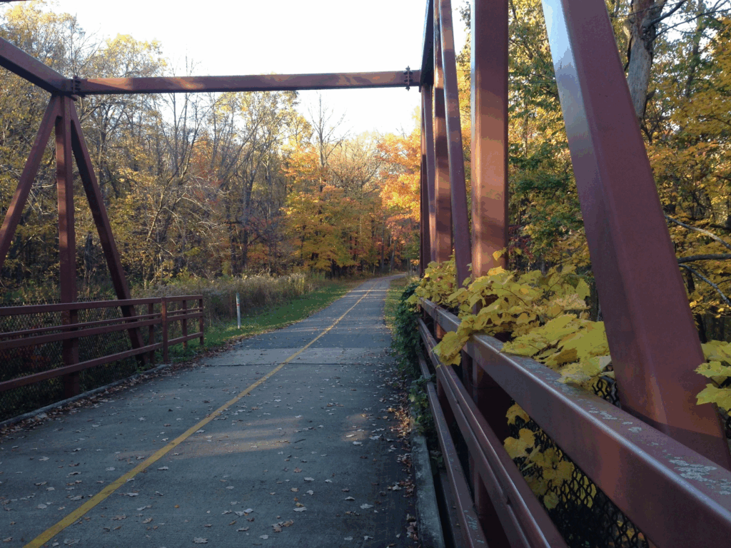 Bridge In Elk Grove Village