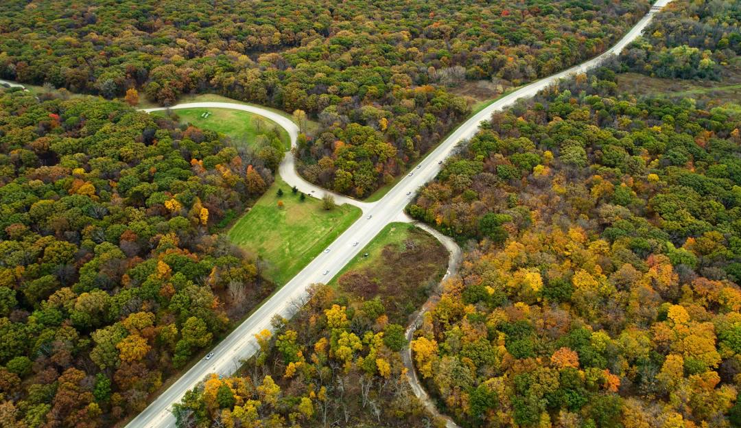 Elk Grove Village Natural Beauty